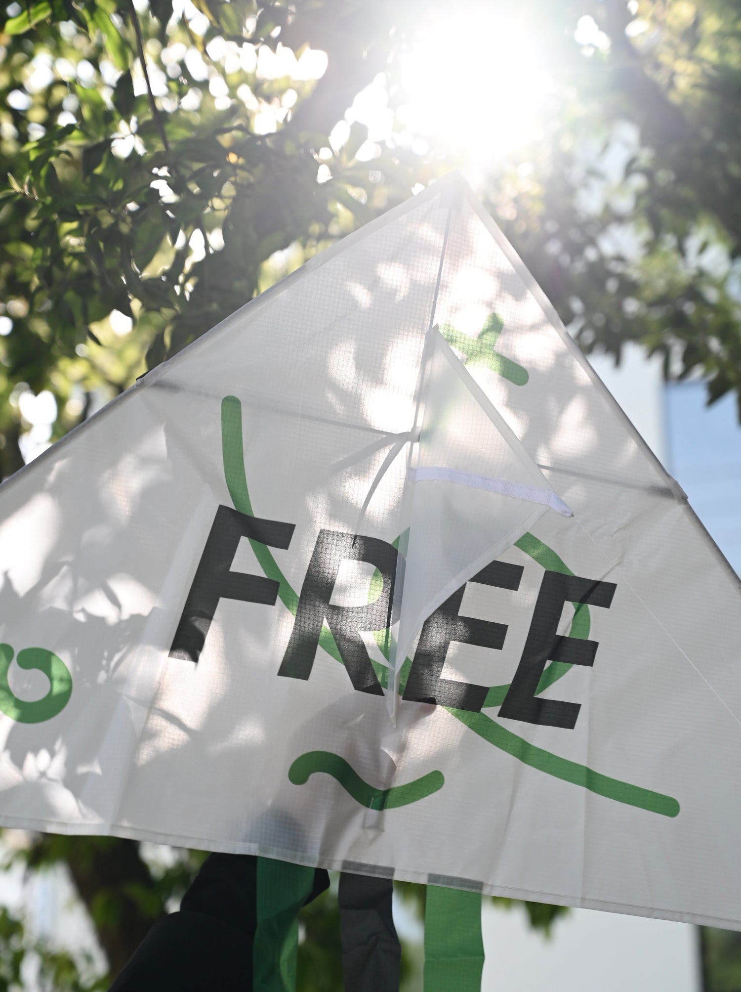 "Free Indeed" Creative Kite