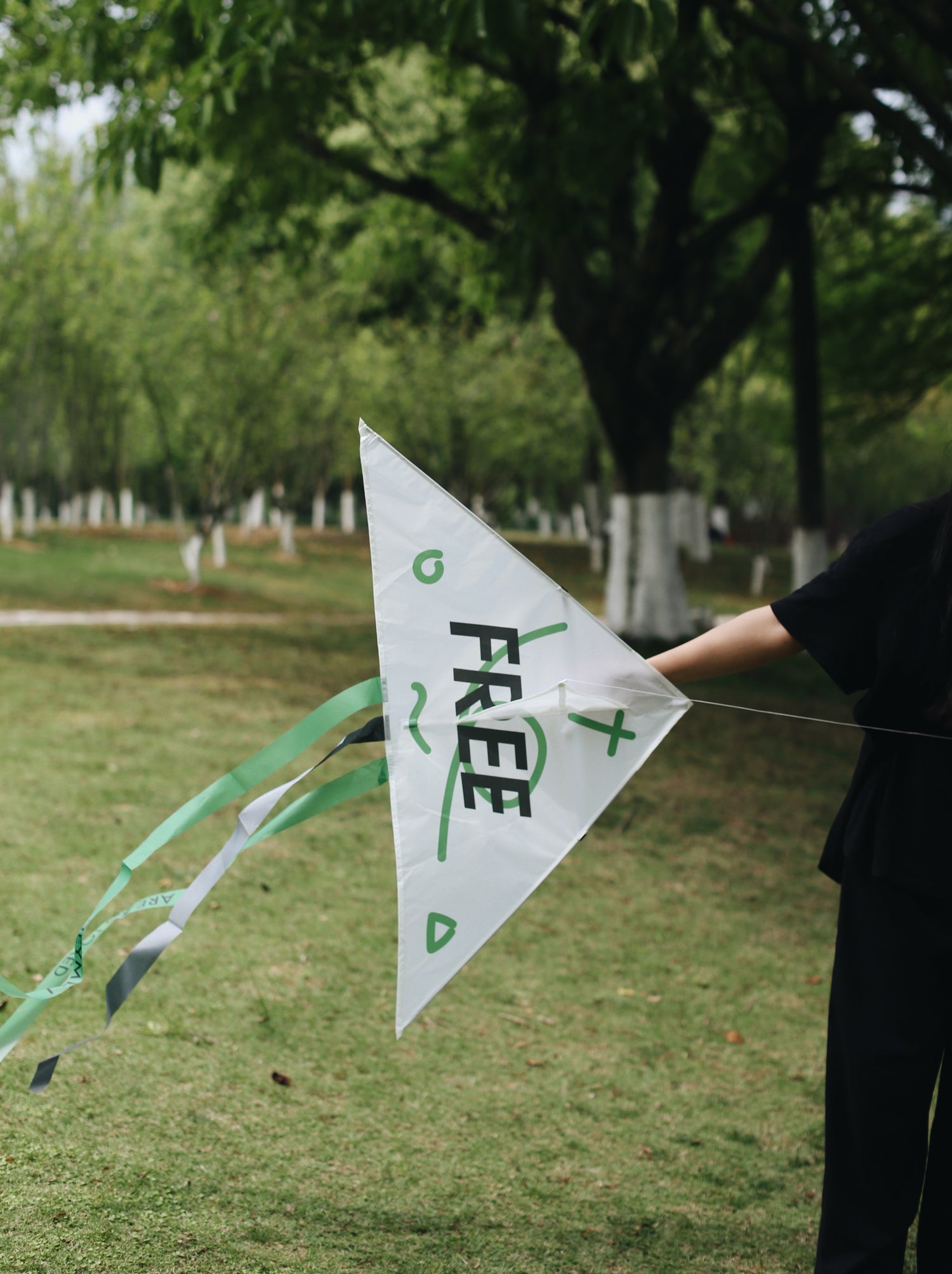 "Free Indeed" Creative Kite